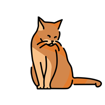 Kedi Kuru & Yaş Mamaları